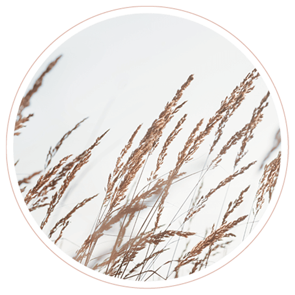 https://cecile-emdr.co.il/wp-content/uploads/2022/02/image_02_contact.png